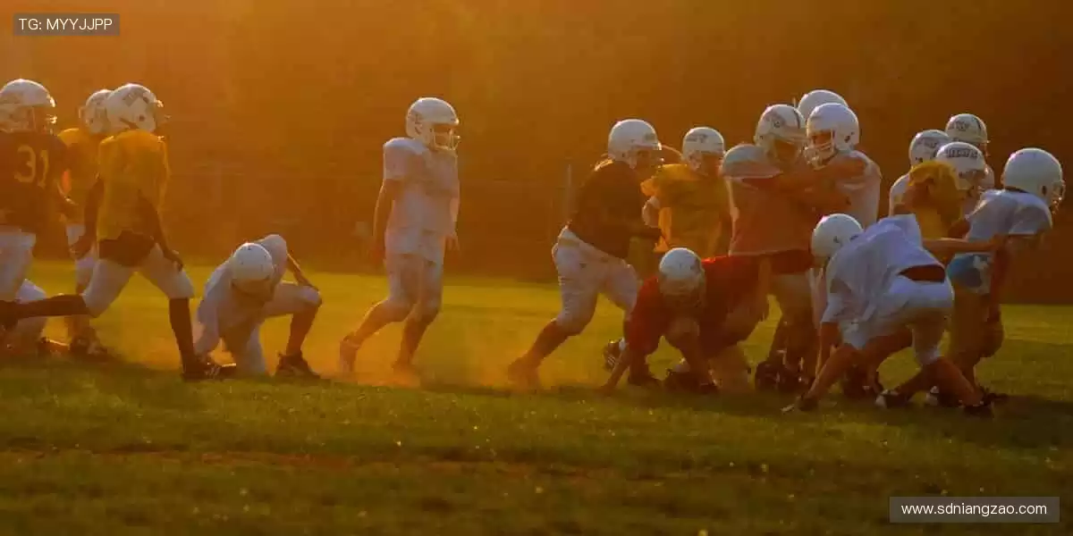 📺 实时直击，让热爱零距离！